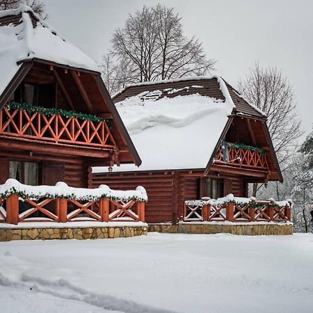 Villa Brvnare Park Borova Zlatibor Exterior foto