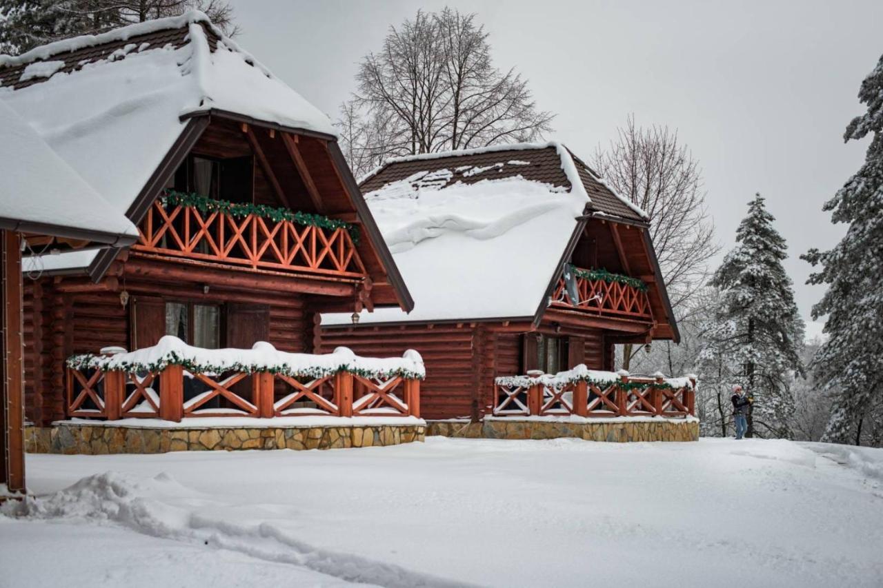 Villa Brvnare Park Borova Zlatibor Exterior foto